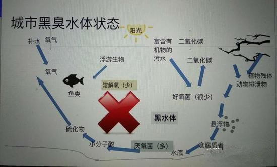 江蘇億元投資治污新技術(shù) 石墨烯能否治理黑臭水體？