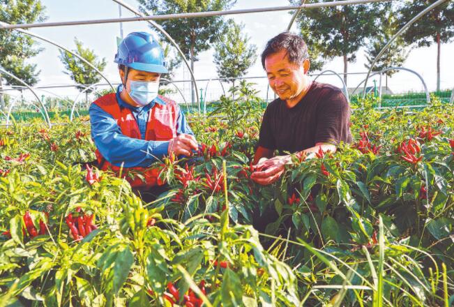 濟南彩虹共產(chǎn)黨員服務隊：精心周到服務 守護“溫泉花都”