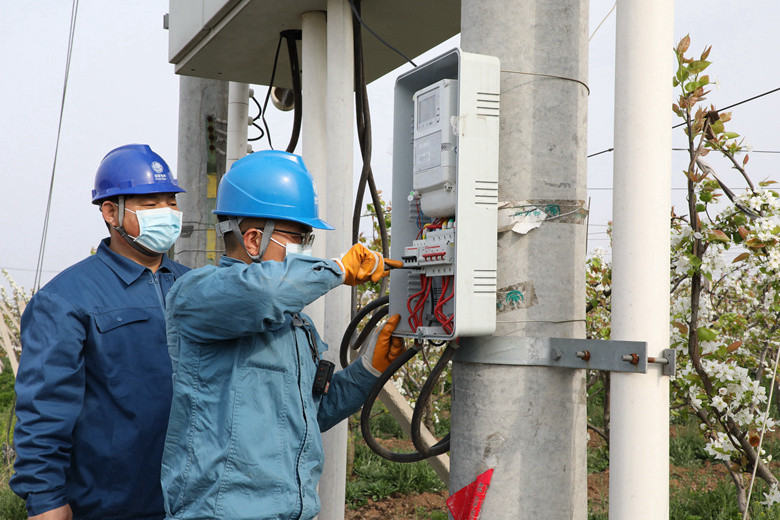 國網(wǎng)諸城市供電公司電力足，千畝梨園花正濃