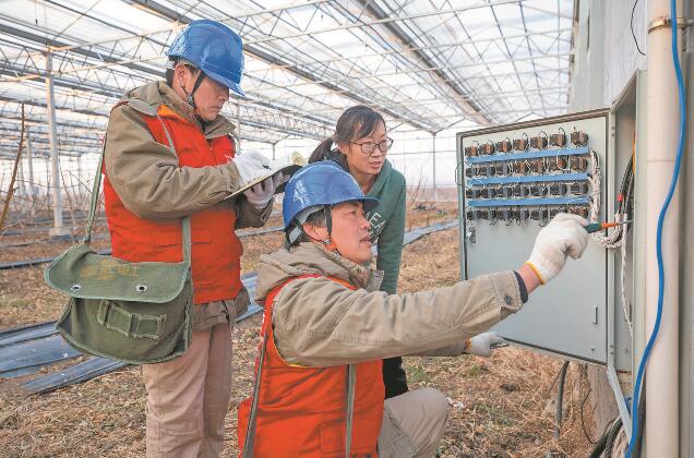 江蘇省新沂市：優(yōu)質(zhì)服務(wù)送上門 水蜜桃富了老范村