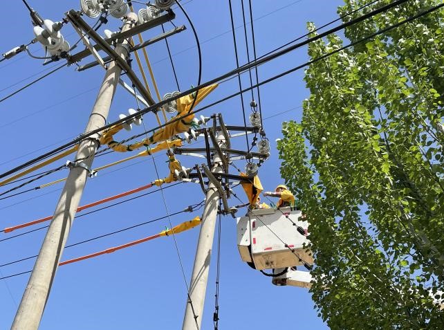 帶電作業(yè)除隱患，安全供電有保障