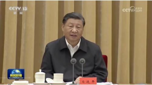 習近平: "雙碳"目標是堅定不移的,要加快構建新型電力系統(tǒng)