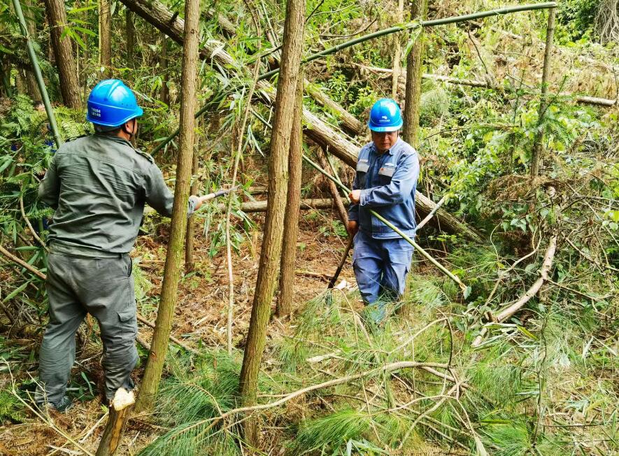 南方電網(wǎng)荔波供電局線路憂患如“猛獸”，通道清通要爭先