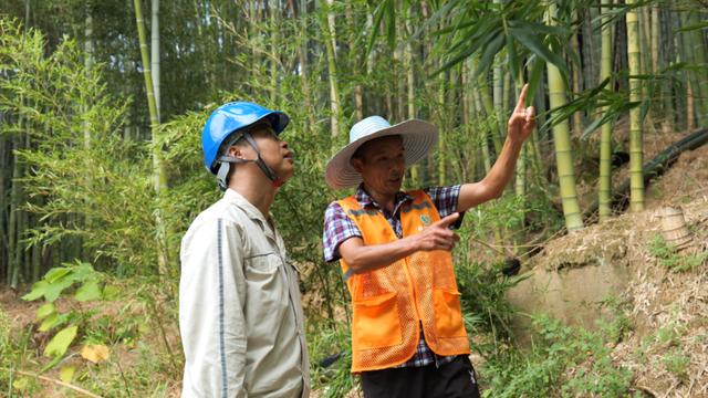 重慶通過“五定”工作機(jī)制保障電力線路安全運行