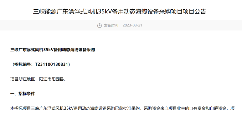 三峽能源廣東漂浮式風(fēng)機(jī)35kV備用動(dòng)態(tài)海纜設(shè)備采購招標(biāo)