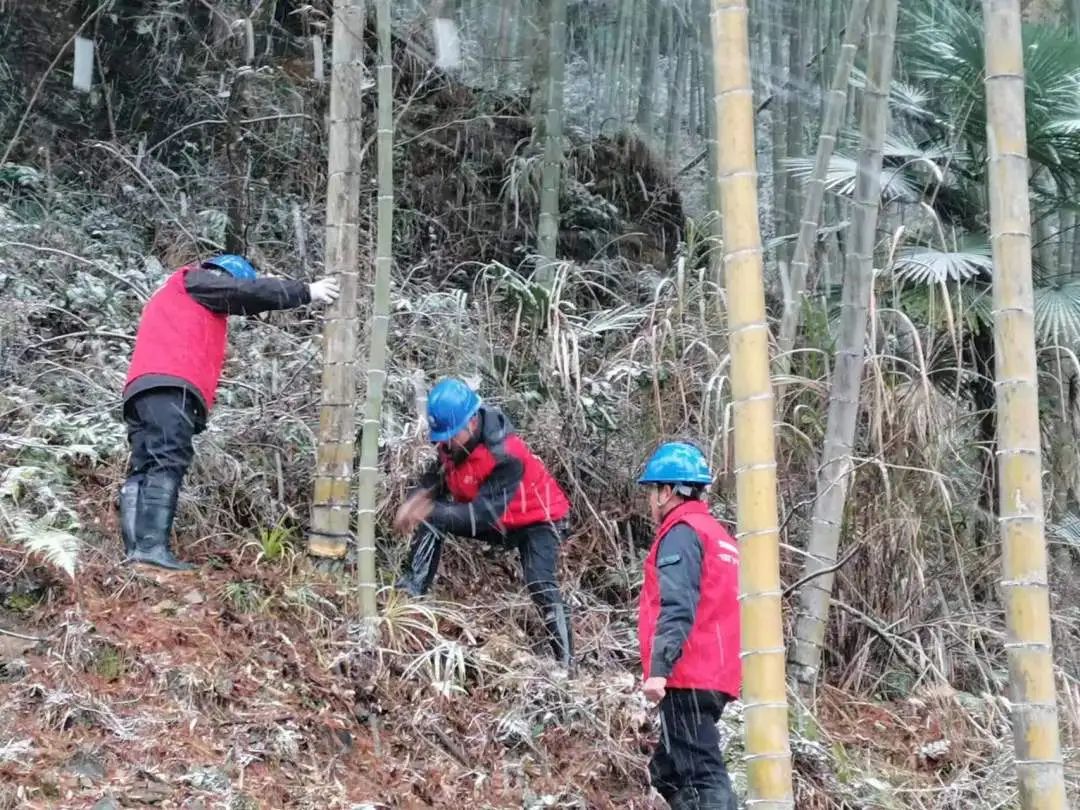 國網(wǎng)建陽區(qū)供電公司全力防抗今冬首場降雪寒潮