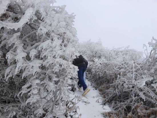 【新春走基層】迎雪而上攻堅行，奮戰(zhàn)不息護(hù)光明