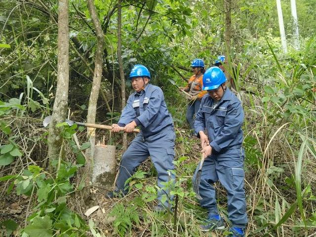 貴州望謨供電局通道清理開啟電力保障“特別行動”