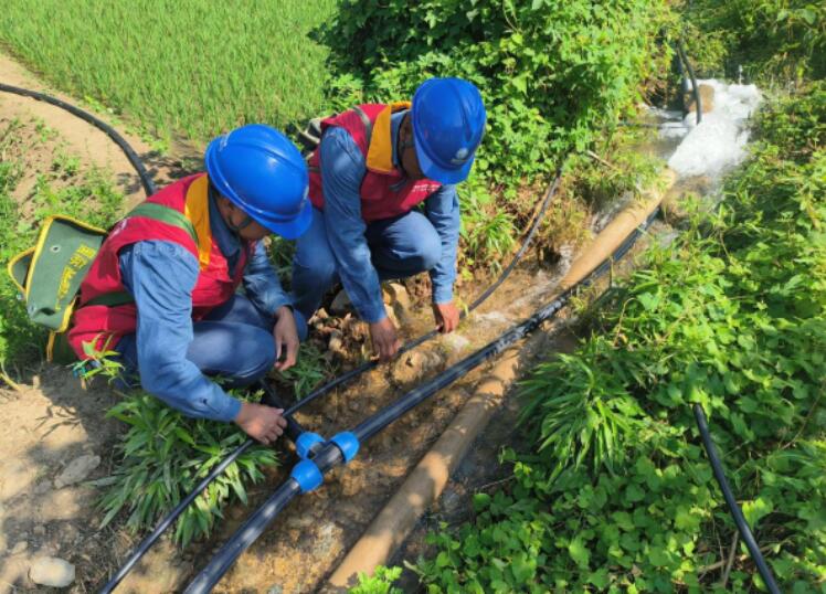 國網略陽縣供電公司電力服務為稻田灌溉添動力